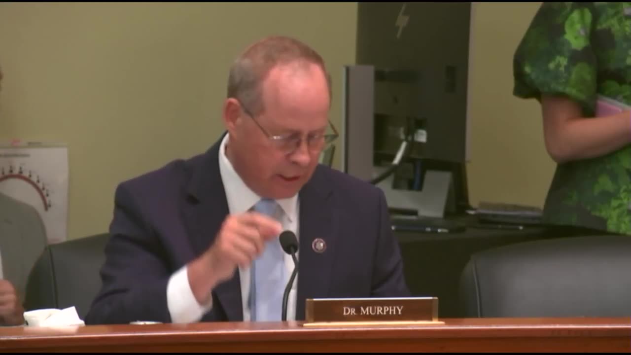 Rep. Murphy questions witnesses at voter list maintenance hearing