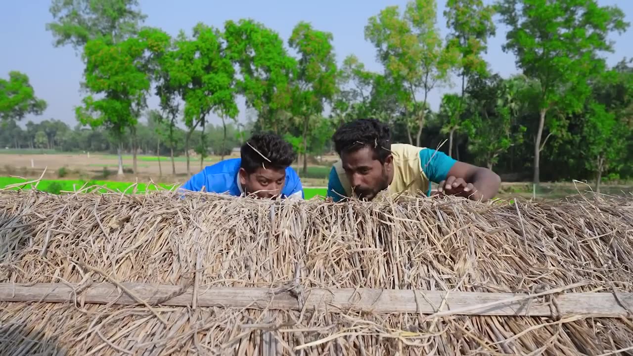 Funny clip