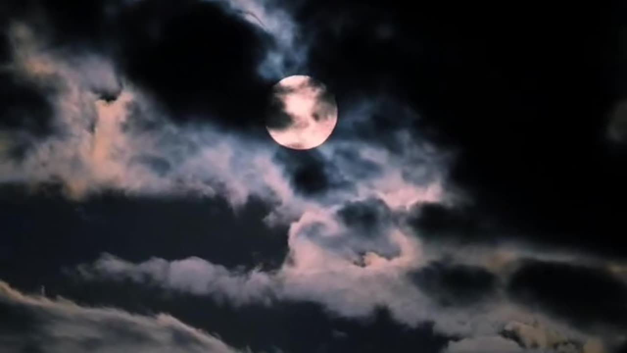Conquer the night