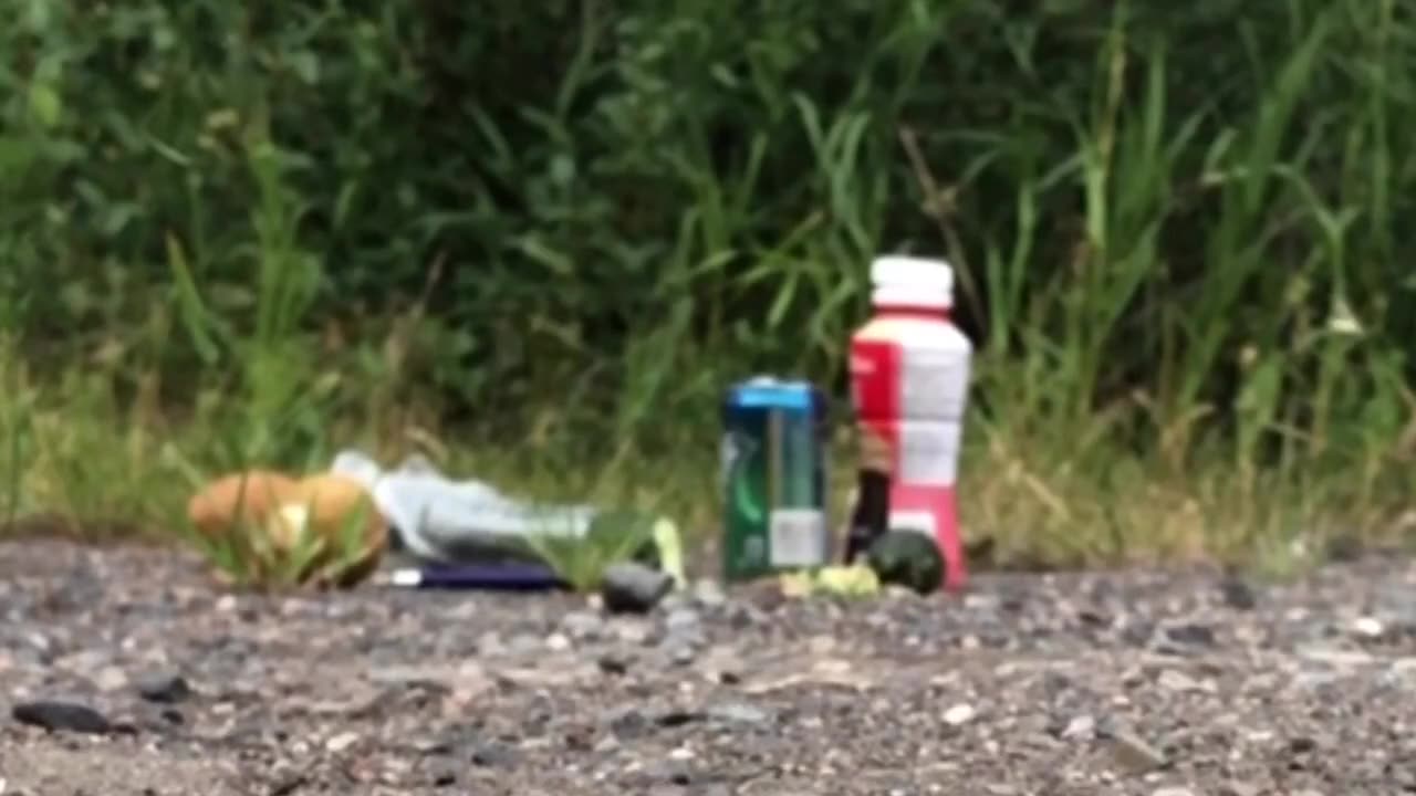 Evil Bitch Crushed My Food