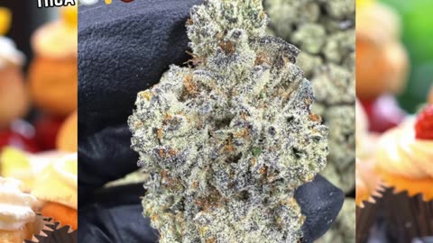 Double Stuffed | 33% THCa | AAA Indoor Indica | Coffee & Vanilla Relaxation | Exotic Genetix #thca