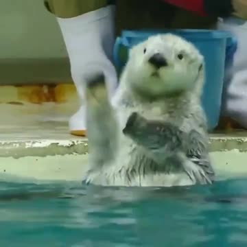 “I did it, I did it!” 😂