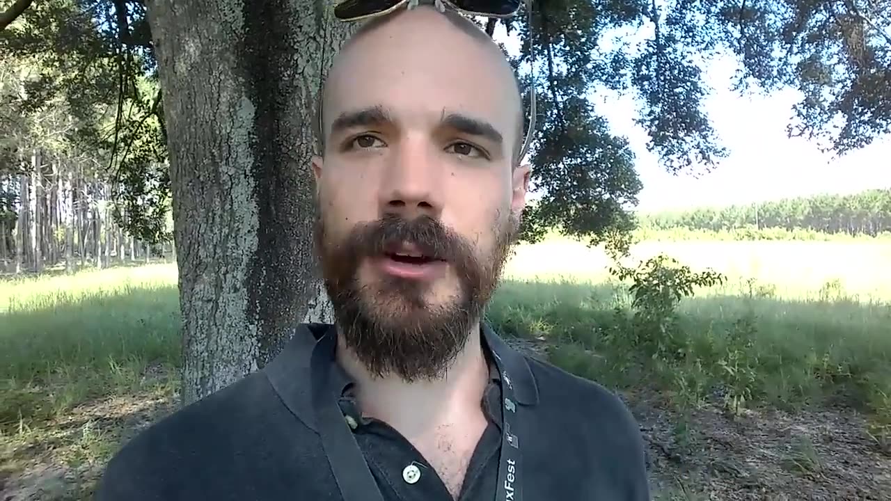 Get A Website Now! Don't Be A Web Peasant!