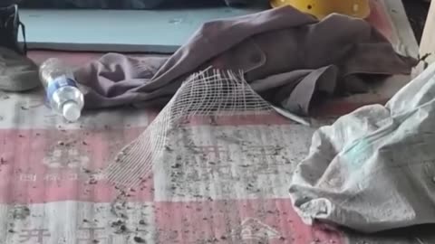 Funny Construction Fails Workers Videos || Mella Site Mnager #consejos