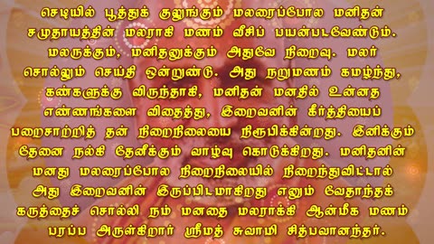 November 20 | THE FLOWER | Daily Divine Digest