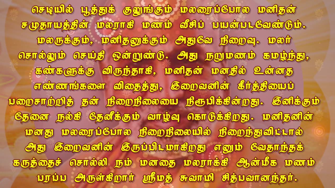 November 20 | THE FLOWER | Daily Divine Digest