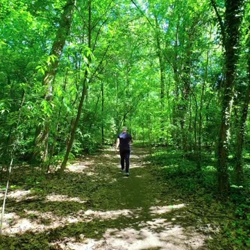 "The nature" is a broad term encompassing the physical world and everything ..