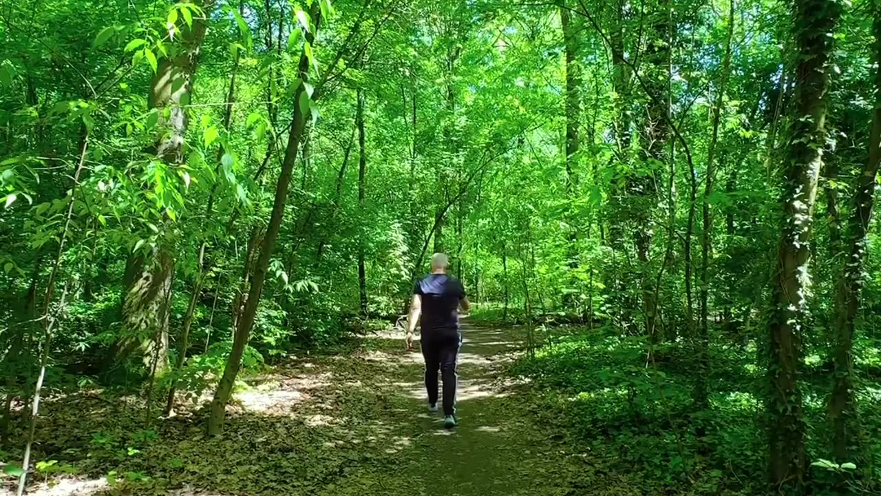 "The nature" is a broad term encompassing the physical world and everything ..