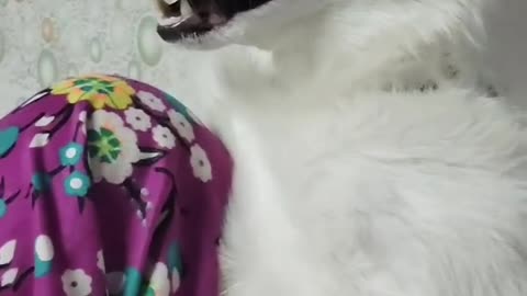 He is so happy sitting on his mommy's lap