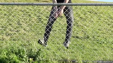Animals Get Over a Fence