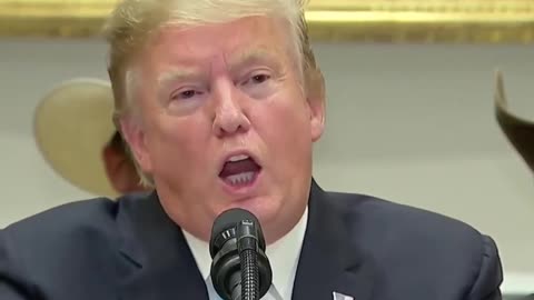 President Trump about who he is refering to when he says they commited treason.
