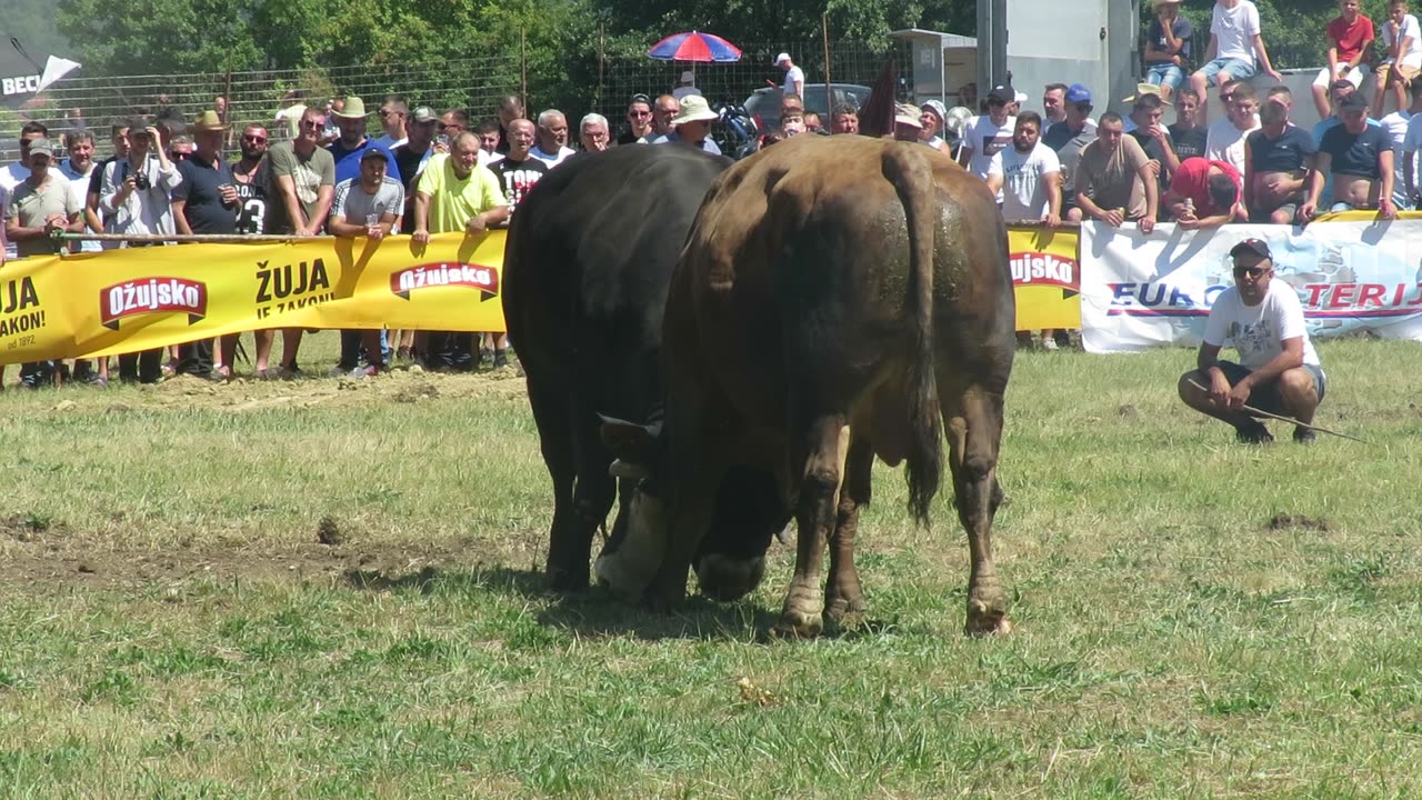 RTTD od braće Kokan vs Brizan od Zekića Batin 2025