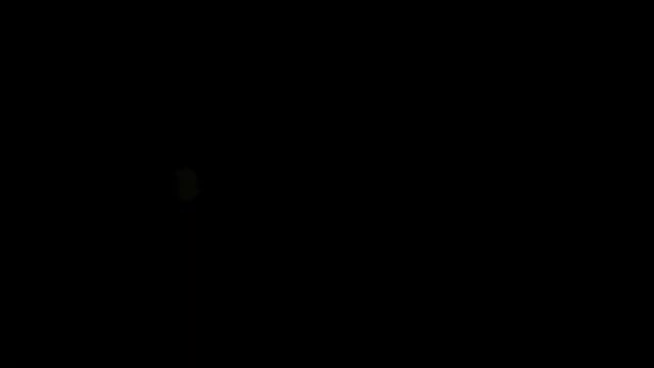 Funny videos