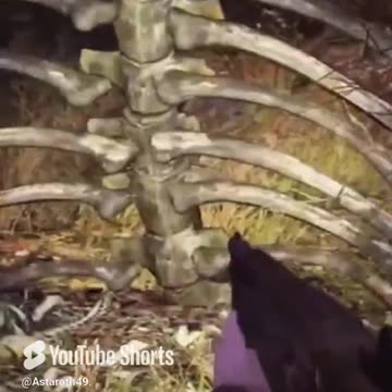 McDicken. Wasteland Survivalist? Ep. (10)? Say cheese. #fallout76