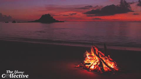 Lo-Fi Beach Day | Lo-Fi Vacation