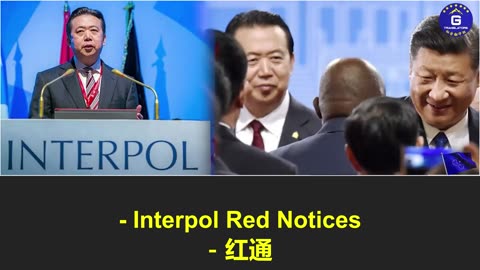 国际调查记者同盟揭中共滥用国际刑警组织“红色通缉令”