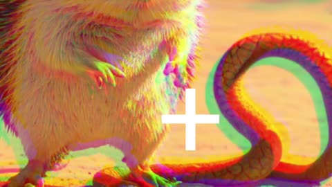 Incredible Animal Fusion: Mind-Blowing Creatures by Fusing Different Species #short#hybrids#roblox