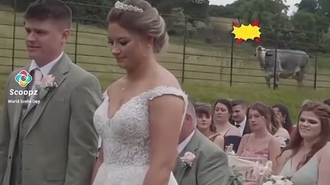 😒🐄 This Cow Does NOT Approve! Wait For It... | FunFM