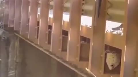 Proper Handling Of Beehive