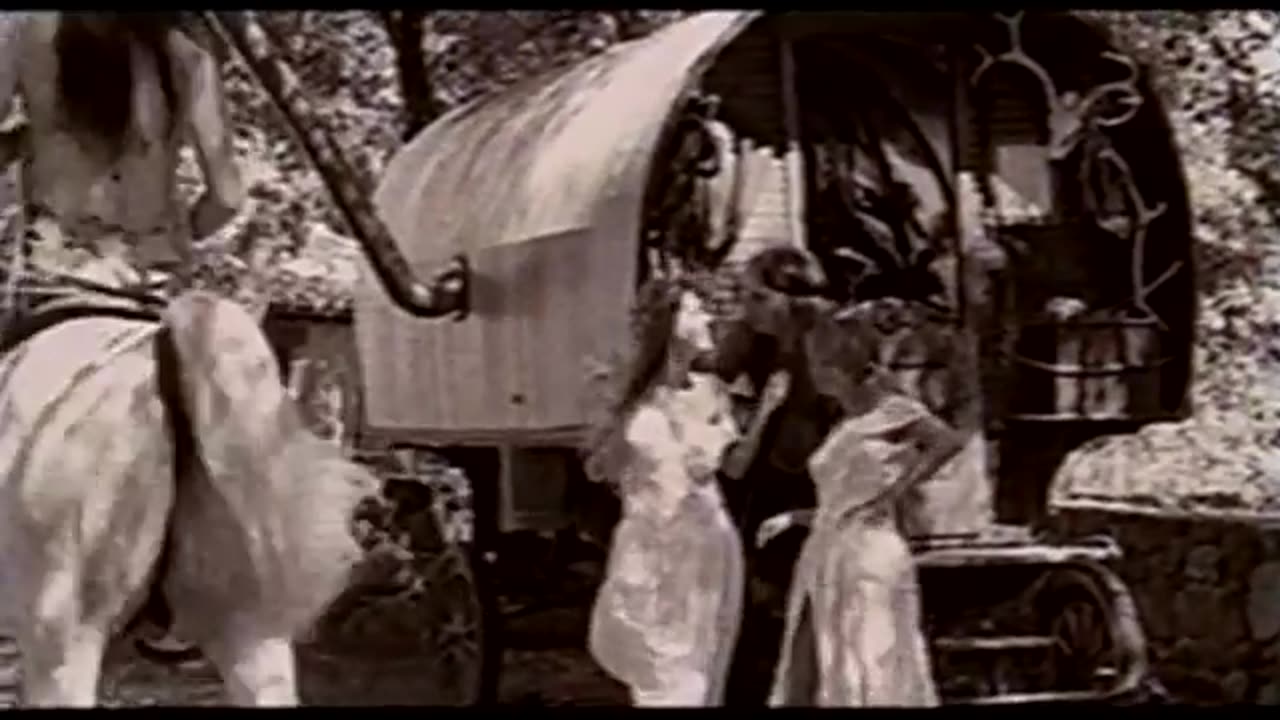 d preist ride though the sun