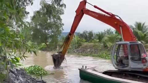 Full video "Daily life of ducks running in the fields foraging" Using trucks to transport ducks