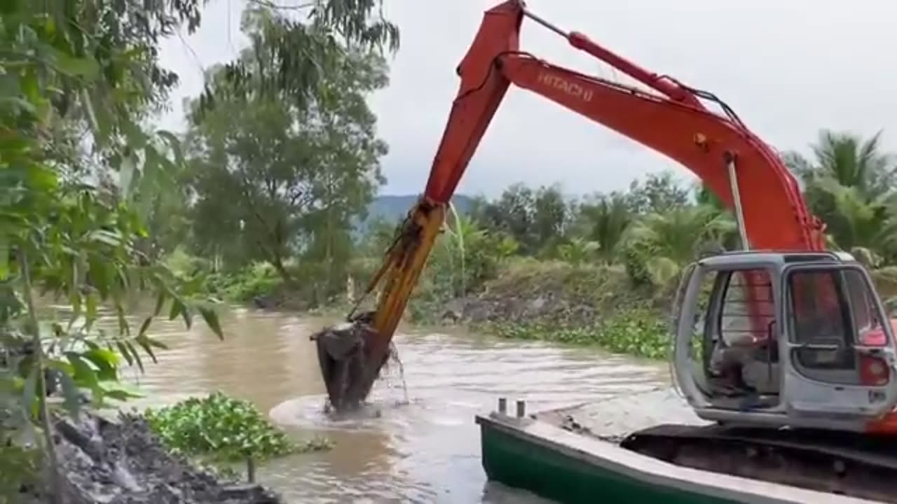 Full video "Daily life of ducks running in the fields foraging" Using trucks to transport ducks