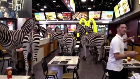 Outtake #1,099 Of Over 3 Zebras Roam Around A McDonald's Restaurant Fake Funny Parody Video