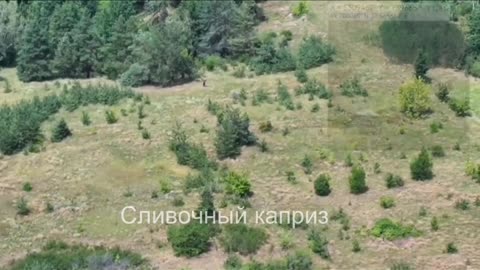 🪖🇷🇺 Ukraine Russia War | Russian Troops Confirmed in Sobolevka Near Kupiansk | RCF