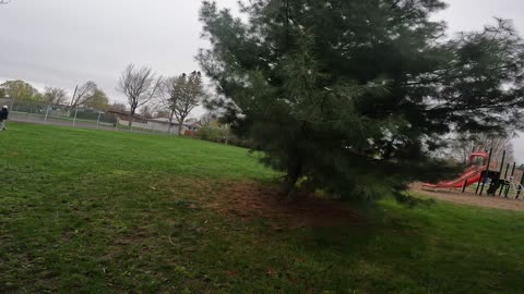 🗑️2025🧹05-09🚮 Volunteering My ⌚Picking Up Liter 🚮🧹@ Kilreen Park #122 In Ottawa 💥 Canada 🍁