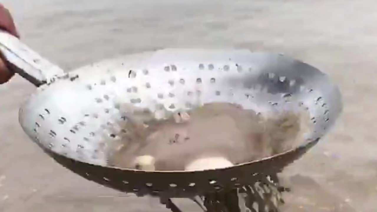 Sand of sea contains many organisms
