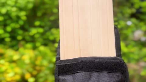 Heega Gold Edition English Willow Cricket Bat