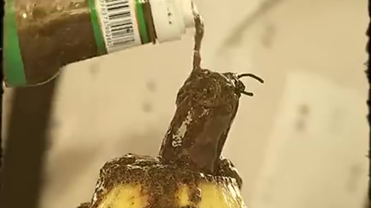 el choriflan anuncio creativo de...