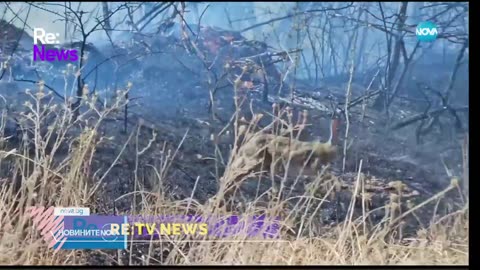 #Новини #NEWS #LIVEhighlights #TikTokLIVE #LIVE #BulgariaNews