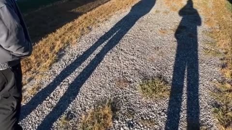 🤣🐇 The Silly Wabbit is Here! | FunFM