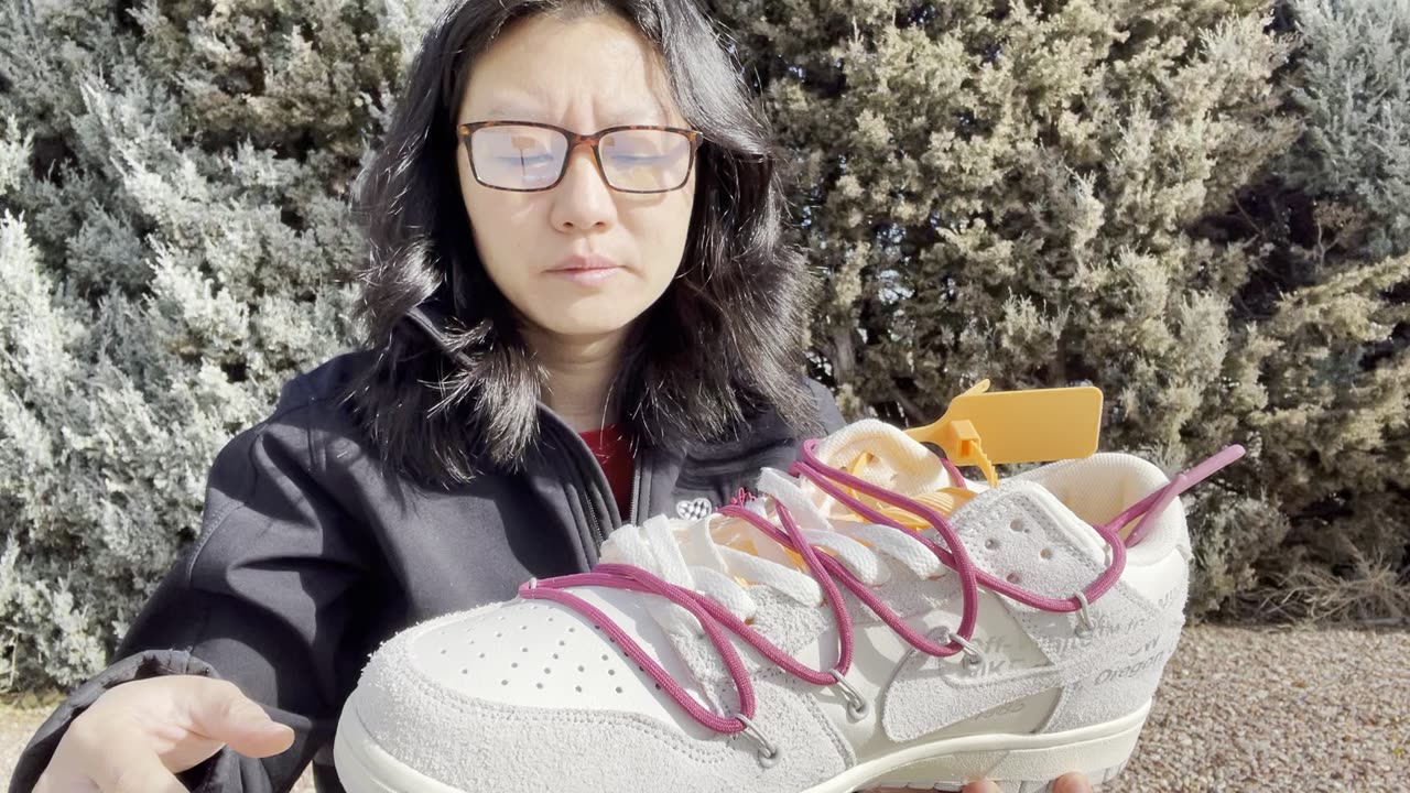 This is a pair FAKE Nike dunk off white shoes