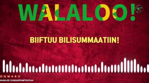 Qophii Walaloo ONM-ABO Ebla 14-2025 itti dhiyaadhaa!
