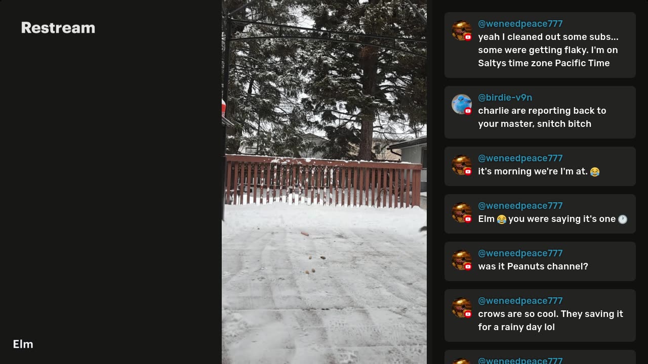 Pre-Christmas stream. Chat and Panel.