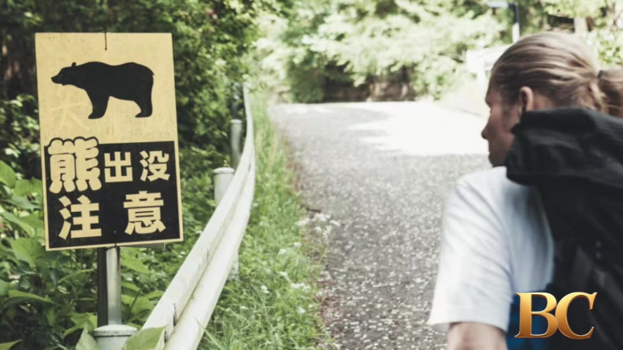 Hiker’s body found after bear drags him from trail into forest in Japan