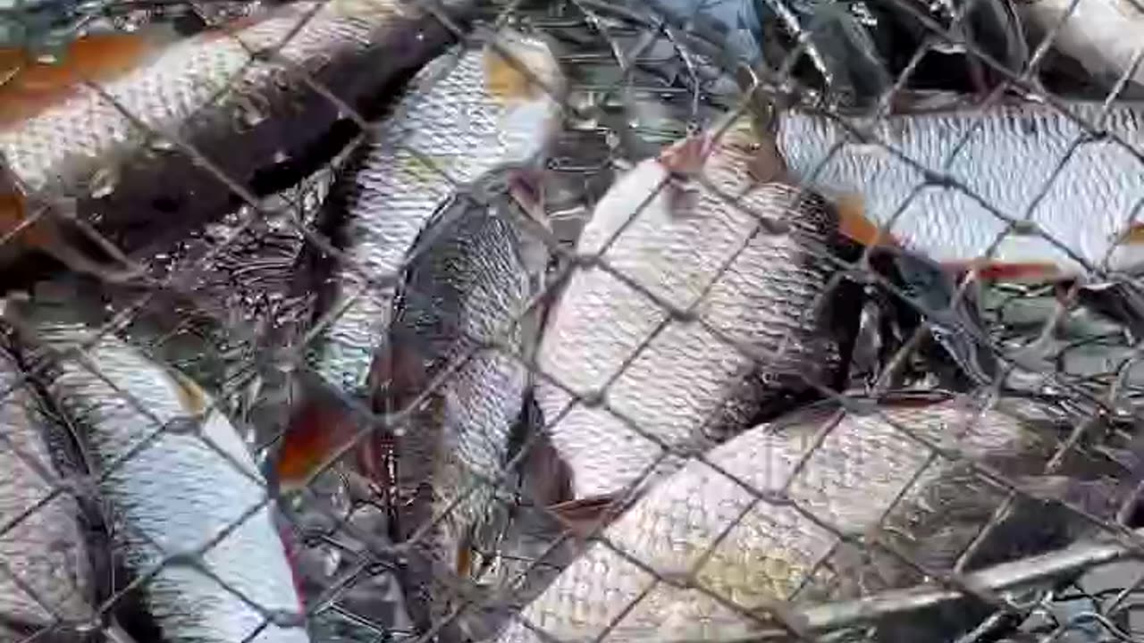 Fishing is a special kind of pleasure