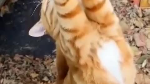 Morning stretching