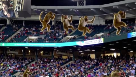 Over 10 Monkeys Roam Around A Baseball Stadium Fake Funny Parody Video