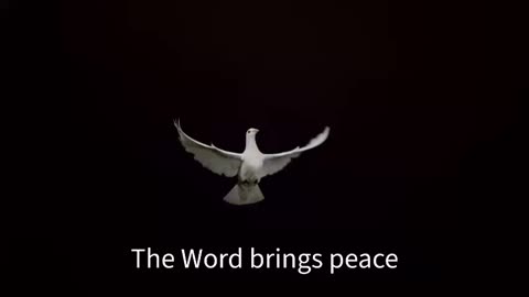 The Word bring peace