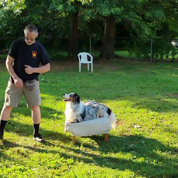 Shaping the Stay Cue short 13