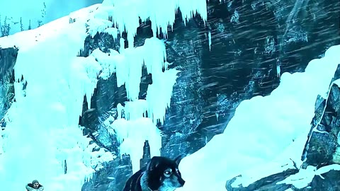 Heroes are not always humans, they can be dogs too 🐾🐶❤️