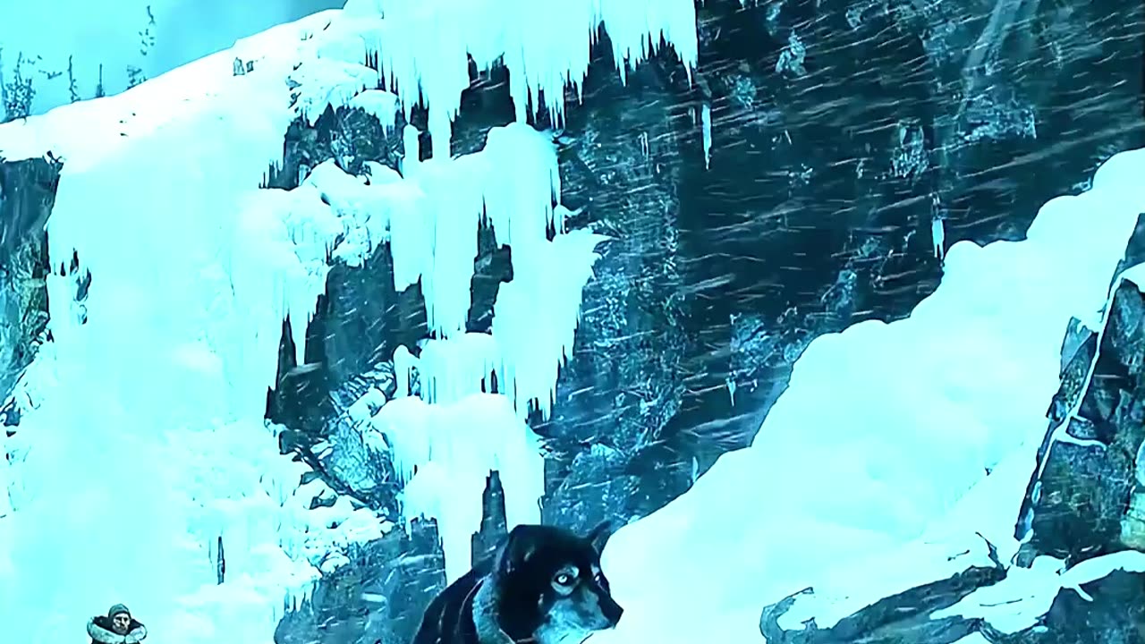 Heroes are not always humans, they can be dogs too 🐾🐶❤️