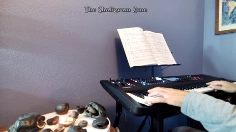 The Shaligram Zone: Ep. 64 - Namaste