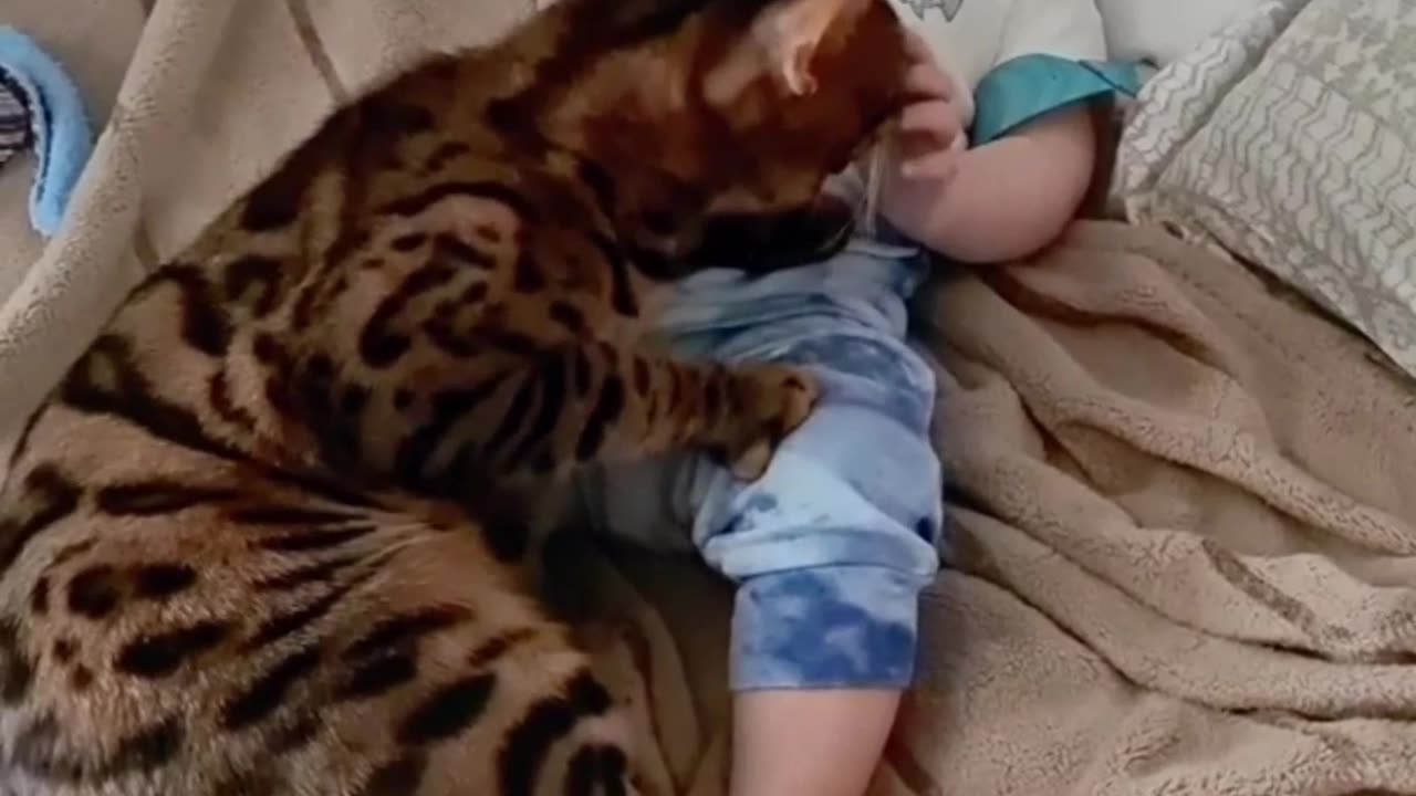 Adorable Bonding Moment Between Baby and Bengal Cat in Bed