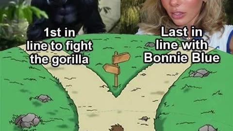 Gorilla vs Bonnie Blue: Which Would You Choose?