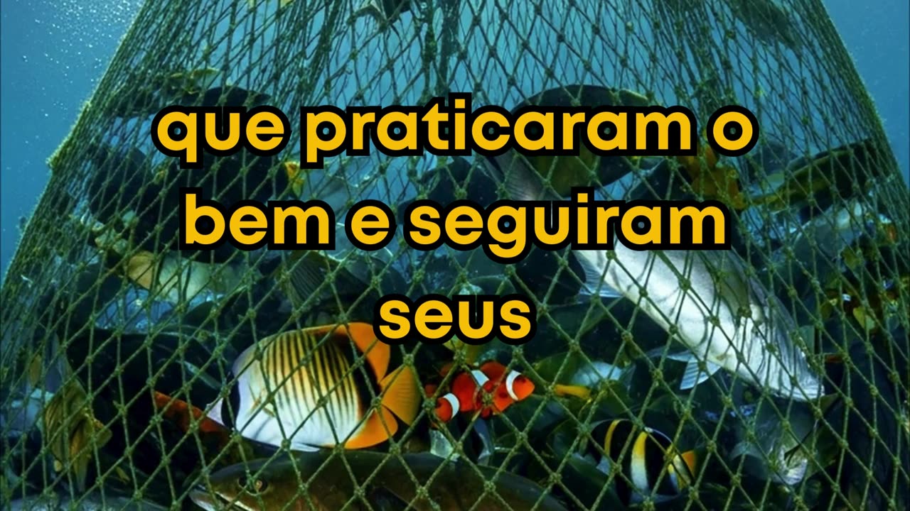 A Parábola da Rede (Mateus 13:47 a 50)