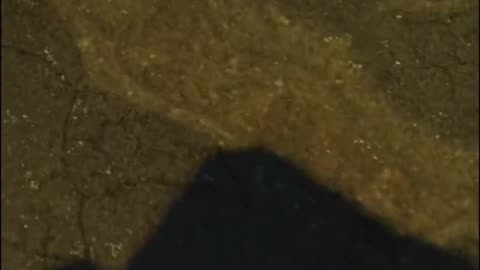 How I Meet People In DayZ